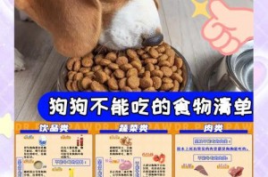 人类食物中的狗狗食谱（了解哪些人类食物可供狗狗享用，关注它们的健康）