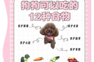 泰迪犬益生菌摄入频率的重要性（探讨泰迪每日摄入益生菌的最佳时间间隔）