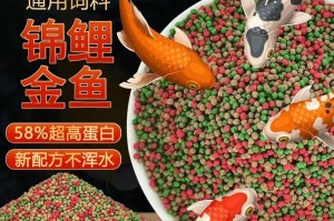 如何正确饲养小精灵鱼（让你的小精灵鱼健康快乐成长）