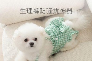 时尚宠物（解锁狗狗的时尚风格，为你的宠物穿上合适的裤子）