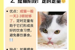 宠物每天喝水量须知！（犬猫饮水量需求及关键要点）