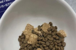 维生素B对猫咪的重要作用（猫咪如何补充维生素B）
