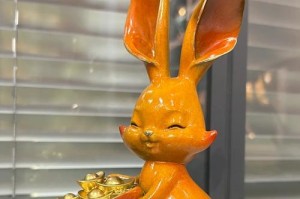 可爱的侏儒海棠兔（与小朋友共同探索兔子的魅力）