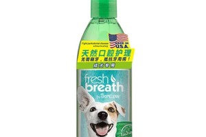 告别狗狗口臭，这些食物帮助你！（狗狗口臭的原因及如何解决）