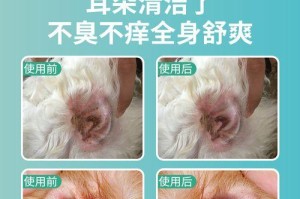 猫猫耳朵上长癣的治疗方法和预防措施（了解猫咪耳朵上长癣，让它们远离疼痛和不适）