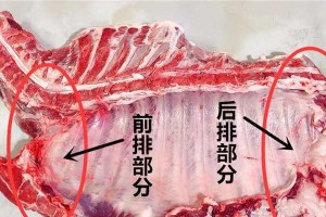 探寻美味猪脖子骨头的秘密（猪脖子骨头的制作与食用技巧）
