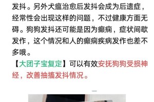 探究泰迪狗发抖的原因（了解泰迪狗发抖的情况以及解决办法）