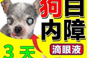 小狗眼泪多怎么办？选择合适的眼药水（如何选择适合小狗的眼药水？）