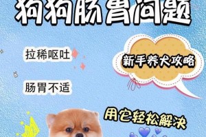 如何有效治疗狗狗拉稀呕吐？（选择正确的药物是关键！）