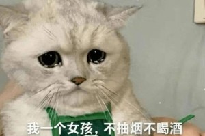 摸猫屁股的禁忌之谜（揭开不能摸猫屁股的原因及其影响）