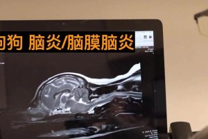 狗急性脑炎（了解狗急性脑炎的症状和紧急处理方法，保护你的毛孩健康）