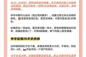 狗的怀孕周期及注意事项（揭秘狗狗的孕育奥秘，了解如何安全度过狗狗的怀孕期）