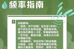 刚出生的龟如何饲养（宝宝龟的饮食需求及饲养技巧）