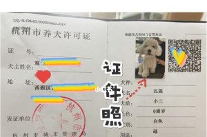 养狗手续指南（以城市养狗需要什么手续？如何合法、负责地抚养你的毛茸伙伴？）