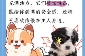白博美如何避免发毛问题（白博美发毛原因及解决方案）