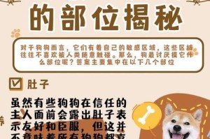 狗狗厌恶的气味（探寻狗狗鼻子的奥秘）