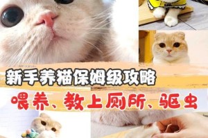 一天三餐，英式饮食计划（健康生活的秘诀在于合理搭配）