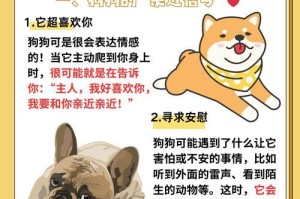 狗狗需要多久才能认识新主人？（探讨狗狗与新主人建立亲密关系的时间与方法）