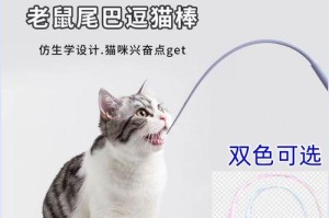 老鼠尾巴的功能及应用（揭秘老鼠尾巴的15个神奇用途）
