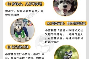 雪纳瑞断尾多久能洗澡？（为了宠物的健康，了解雪纳瑞洗澡的最佳时机！）
