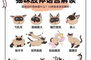 影响猫咪价格的关键因素有哪些？（了解这些因素，选购猫咪更明智！）
