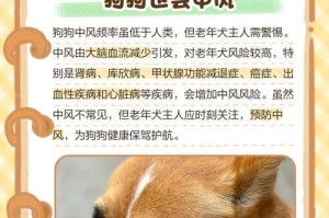 狗狗喝水量与预防肾脏疾病的关系（掌握狗狗每天喝水的正确量，预防肾脏疾病）