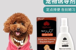 如何训练小狗狗上厕所？（从宠物教育到日常养护，让你的小狗变成乖巧懂事的宠物）