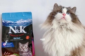 布偶猫的饮食偏好与喜好食物（揭秘布偶猫的美食世界，解锁它们的味蕾秘密）