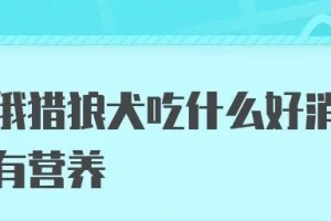 揭秘狼狗的美食世界（探索狼狗的味觉趣味，带你了解它们最爱吃的东西）