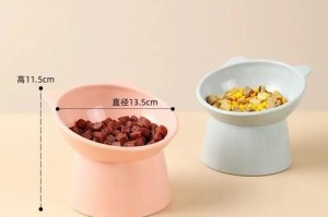猫的餐具的好处（为你的猫提供适合它的餐具，让它健康成长）