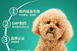选择合适的药物为狗进行驱虫（如何确保狗的身体健康）
