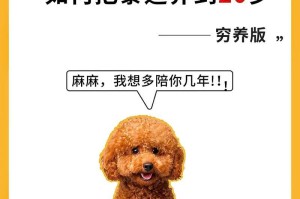 养护泰迪，打造幸福宠物生活（探索泰迪宠物养护的关键要点）