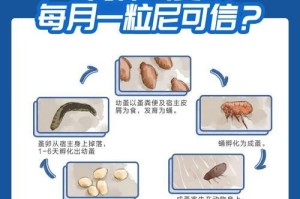 小狗驱虫后的反应及处理方法（小狗驱虫后应注意的事项和常见症状）
