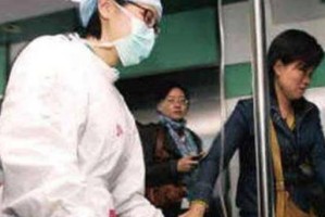 车祸中受伤的宠物——如何进行急救（以大白熊犬为例，为你详细介绍救援方法）