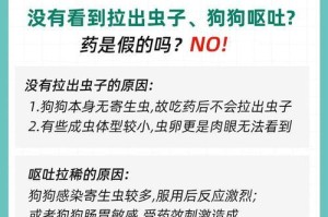 以犬心保驱虫，守护宠物健康（狗狗驱虫方法及注意事项，重要性与效果的分析）