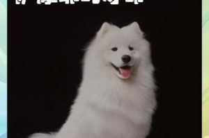 萨摩耶的价格和适合家养的特点（探讨萨摩耶的市价和适宜饲养条件）
