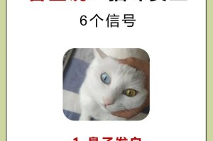 猫咪偶尔吃猪肝，好处多多（猪肝喂食技巧、注意事项、猫咪适宜食用量、营养价值等）