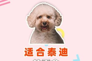 宠物泰迪的合理饮食规划（让你的泰迪健康成长，养好才是王道！）