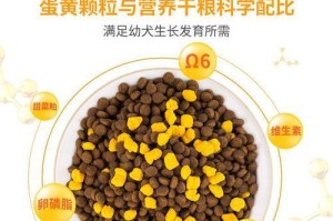 泰迪幼犬的喂养秘籍——每月狗粮摄入量指南（了解泰迪幼犬的食量需求，让它健康成长）