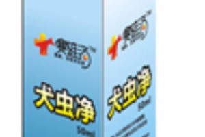 治疗狗狗真菌的药物选择（有效药物、副作用及注意事项）