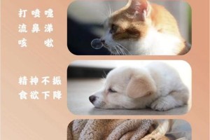 狗感冒咳嗽的症状及预防措施（宠物犬常见的感冒咳嗽症状及如何保护你的狗不受感染）