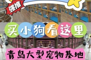 驻马店的宠物店（发现驻马店各类宠物店的多样魅力）