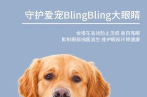一个月大的金毛如何补钙？（宝贝金毛的健康发育离不开补钙，掌握这些关键点！）