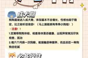 如何教育2个月大的小萨摩犬（培养小萨摩犬的基本技能和良好习惯）