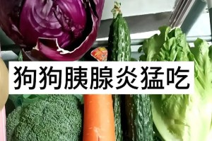 狗狗的蔬菜水果饮食指南（宠物狗的健康营养从蔬菜水果开始）