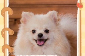 狗狗的月经周期（掌握狗狗大姨妈的时间和注意事项，）