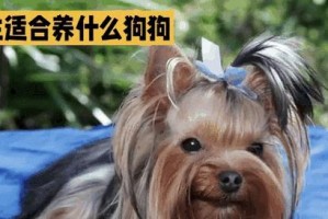 最适合10岁女生养的狗狗是什么？（宠物狗的选择应考虑女生的需求）