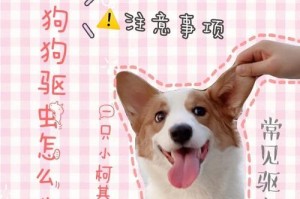 狗狗驱虫药的原理和作用（探秘狗狗驱虫药的神奇力量）