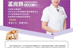 猫急性肾衰的治疗药物选择（探讨猫急性肾衰治疗的有效药物及注意事项）
