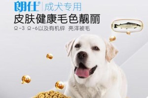 以成年边牧喂什么狗粮好（为你的成年边牧选择最佳狗粮）